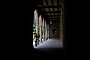 Foreign Student Enrollment Is Down 17% Under Trump. What It Means for Universities