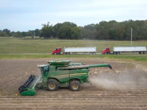 Soybean Futures Rebound on Signs China Is Ramping Up Purchases
